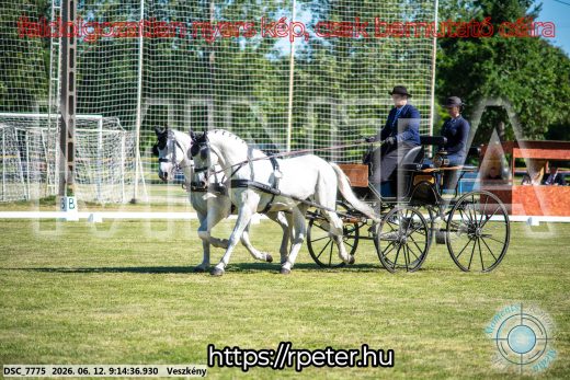 Mintakép 20260612-120