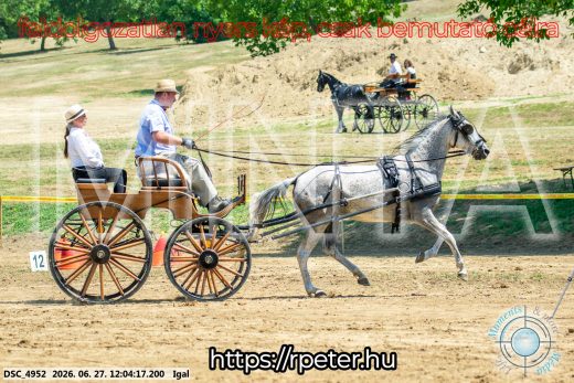 Mintakép 20260627-2557