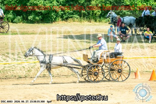 Mintakép 20260627-2572