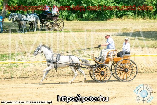 Mintakép 20260627-2573