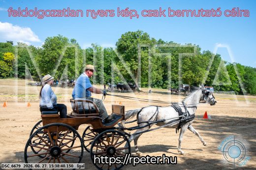 Mintakép 20260627-2577