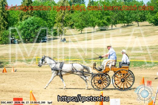 Mintakép 20260627-2578