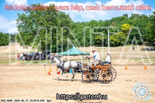 Mintakép 20260627-2588