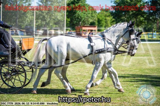 Mintakép 20260612-124