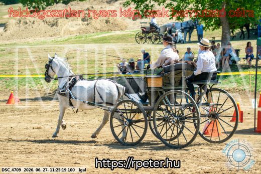 Mintakép 20260627-2597