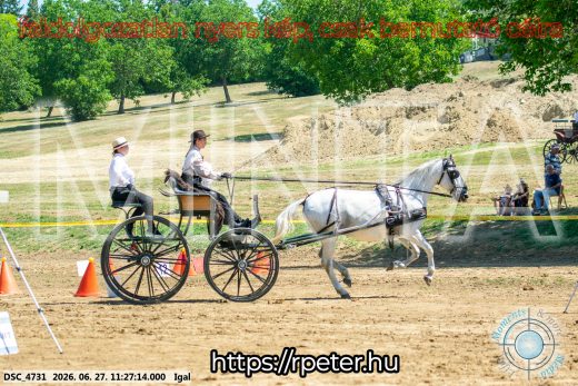 Mintakép 20260627-2615