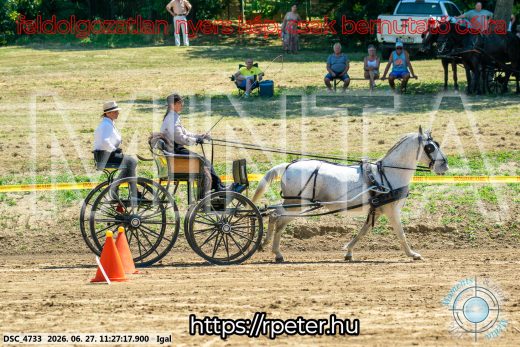 Mintakép 20260627-2617