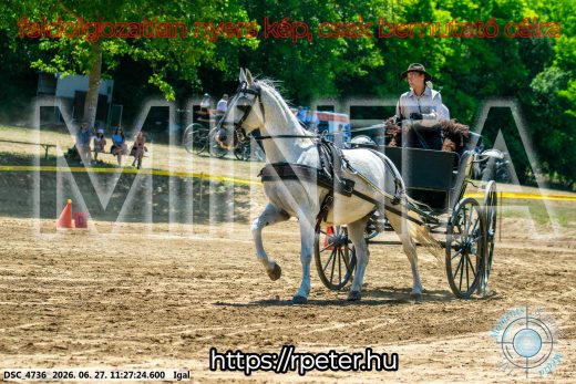 Mintakép 20260627-2620