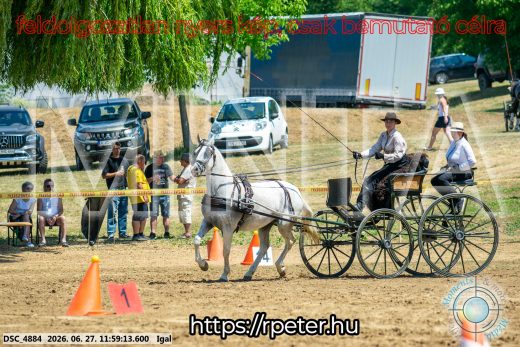 Mintakép 20260627-2629