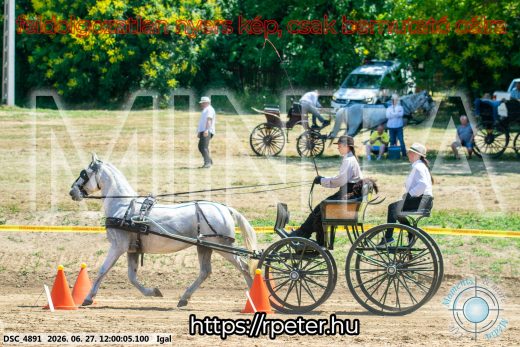 Mintakép 20260627-2634