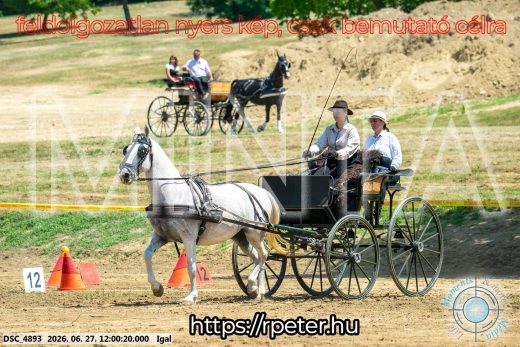Mintakép 20260627-2636