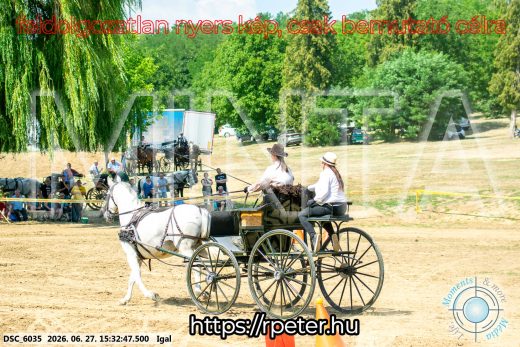 Mintakép 20260627-2647
