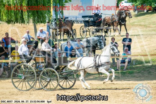 Mintakép 20260627-2649