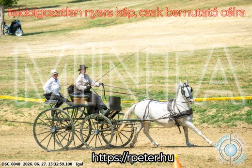 Mintakép 20260627-2652