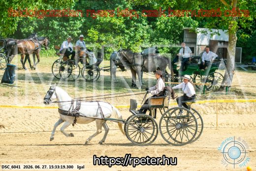 Mintakép 20260627-2653