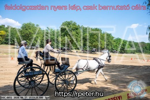 Mintakép 20260627-2661