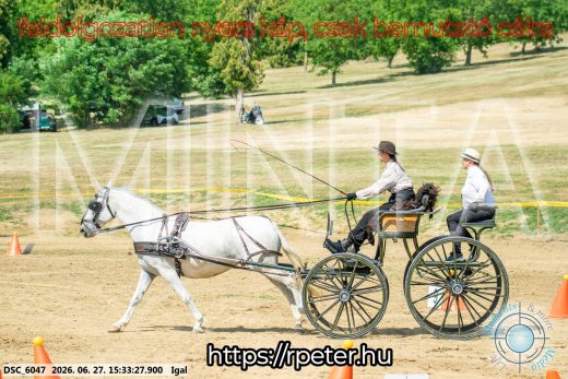 Mintakép 20260627-2663