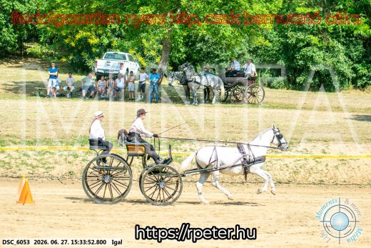 Mintakép 20260627-2668