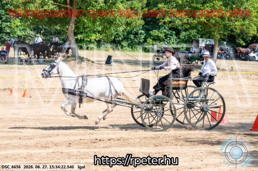 Mintakép 20260627-2673