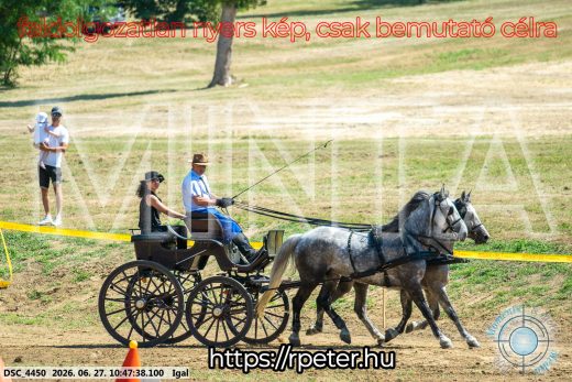 Mintakép 20260627-2681
