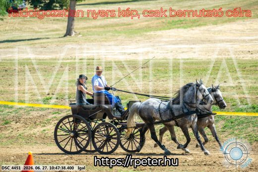 Mintakép 20260627-2682