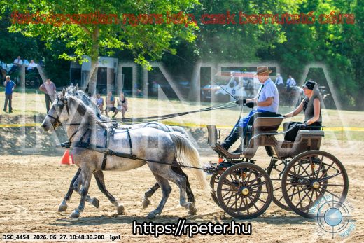 Mintakép 20260627-2684