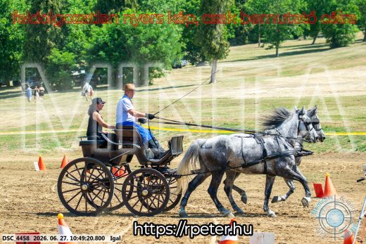 Mintakép 20260627-2687