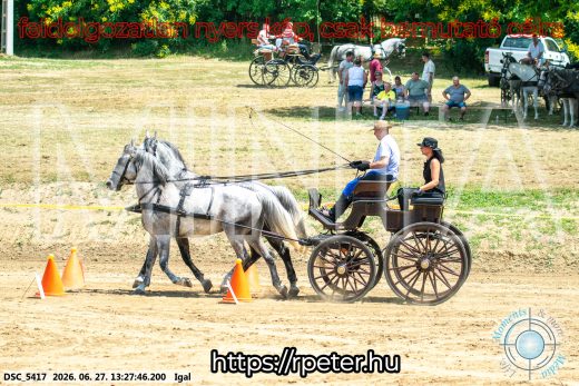 Mintakép 20260627-2695