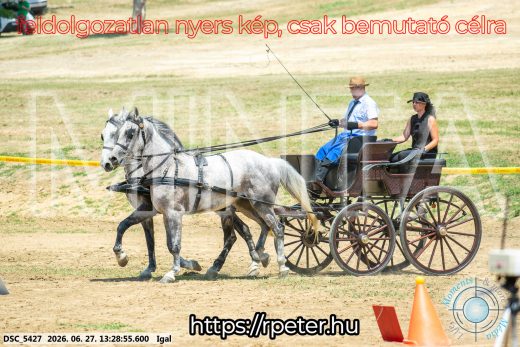 Mintakép 20260627-2698