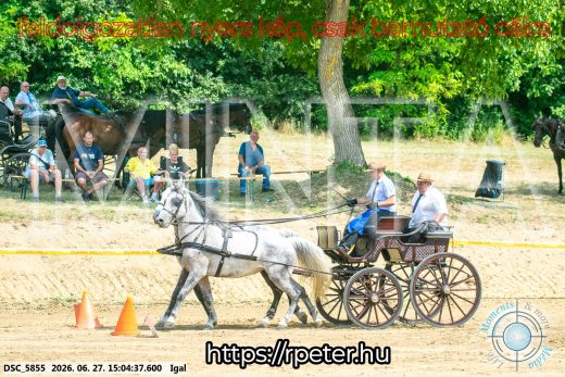 Mintakép 20260627-2707