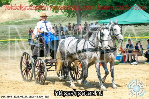 Mintakép 20260627-2713