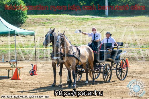 20260627-100558-DSC_4238.jpg