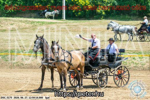 Mintakép 20260627-2728