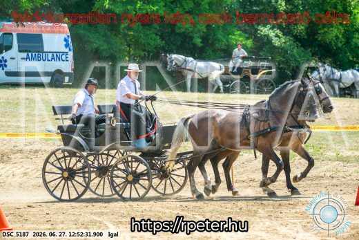 Mintakép 20260627-2735