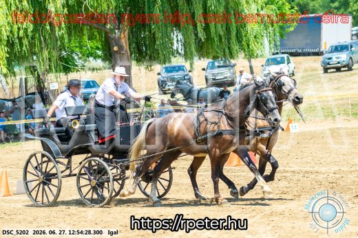 Mintakép 20260627-2743