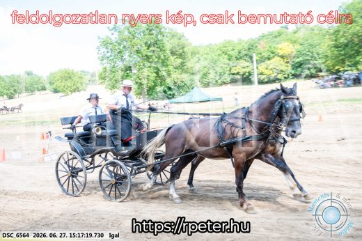 Mintakép 20260627-2747