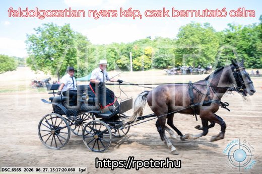 Mintakép 20260627-2748