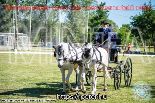 Mintakép 20260612-140
