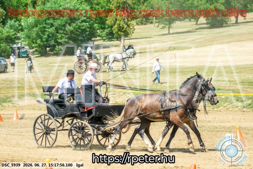 Mintakép 20260627-2752