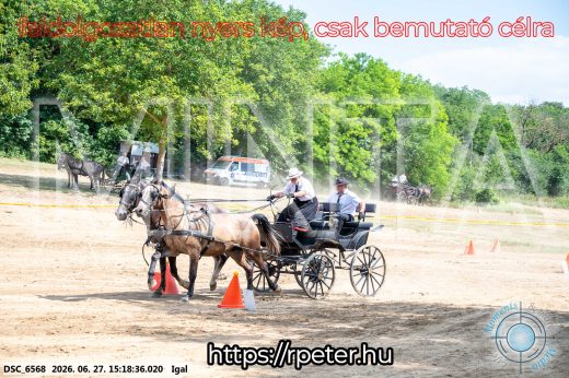 Mintakép 20260627-2754
