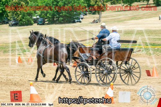 Mintakép 20260627-2770