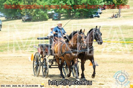 Mintakép 20260627-2772
