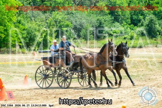 Mintakép 20260627-2773