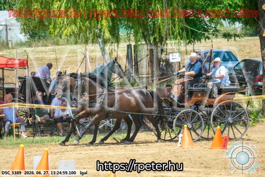 Mintakép 20260627-2776
