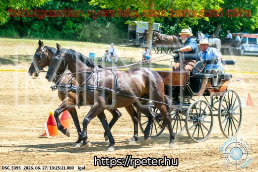 Mintakép 20260627-2778