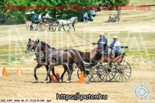 Mintakép 20260627-2779