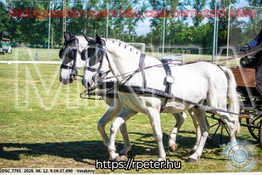 Mintakép 20260612-143