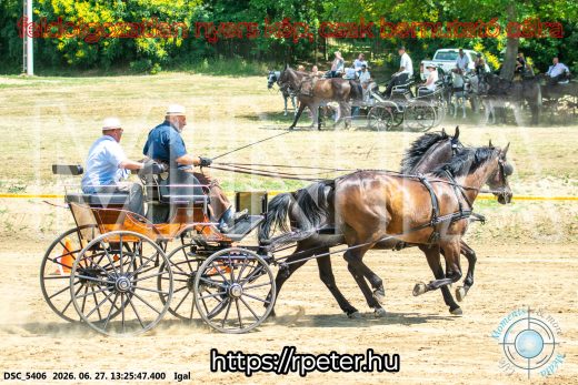 Mintakép 20260627-2782