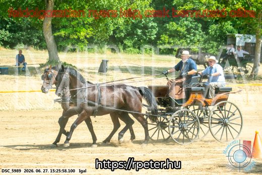 Mintakép 20260627-2783