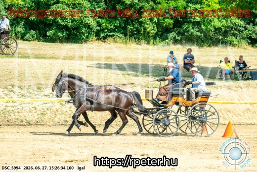 Mintakép 20260627-2786